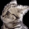 ������ ������������ cat565656