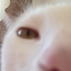 ������ ������������ JakeG