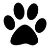 Аватар пользователя catpaw