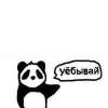 ������ ������������ didishkaZ