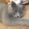 ������ ������������ masha1981