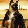 cathzi