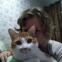 potik.bachok