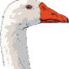 BadassGoose