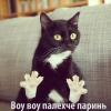 Аватар пользователя Gelbora