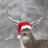 SilverDeer