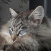 Аватар пользователя otecPetr