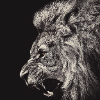 ������ ������������ LeMancunian