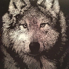 ������ ������������ Vulpes89