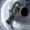 ������ ������������ Wolfy55
