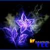 ������ ������������ Tee3D