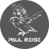 ������ ������������ paulmeise