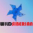WILDSIBERIAN