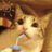 LolliPoppy