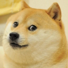 SoWowDoge