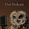 ������ ������������ OwlPodcast