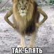 Аватар пользователя HellBells