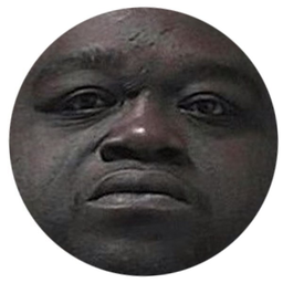 thebitterendss