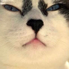 ������ ������������ DeGloom