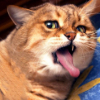 RoomkaRomka