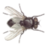 FlyingInsect