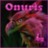 Onuris