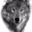 Bigwolf25