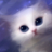 koshkasonya