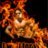 BURNBABY2707