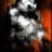 bit134