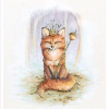 ������ ������������ misswerner