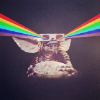 ������ ������������ uunicoorn