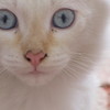 ruma