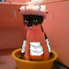 ������ ������������ OwlNyanCat62