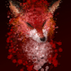������ ������������ FoxMagnificent