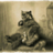 behemothecat