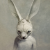 FullMetallRabbit