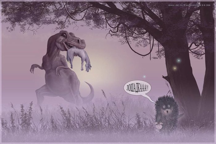 Занятия спортом