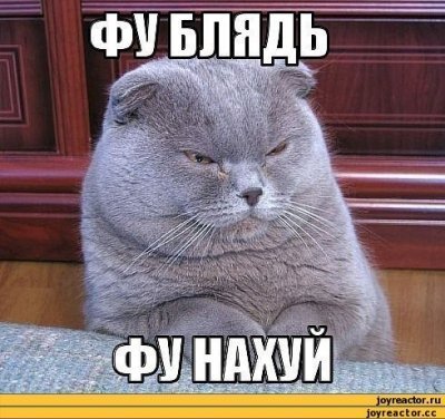 Картинки по запросу честно сказать