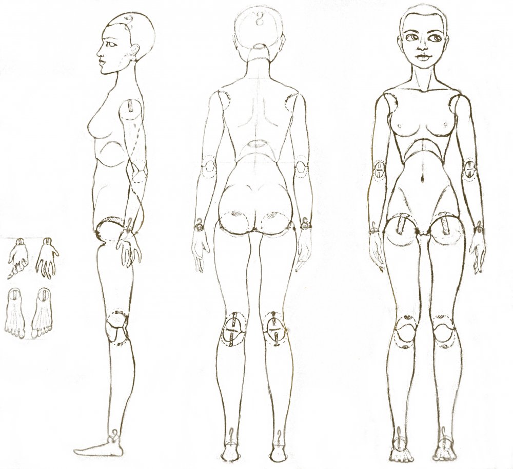 Чертеж куклы. Схема БЖД куклы. Шарнирная кукла БЖД чертеж. Схема шарнирной куклы. Шарнирная кукла чертеж.