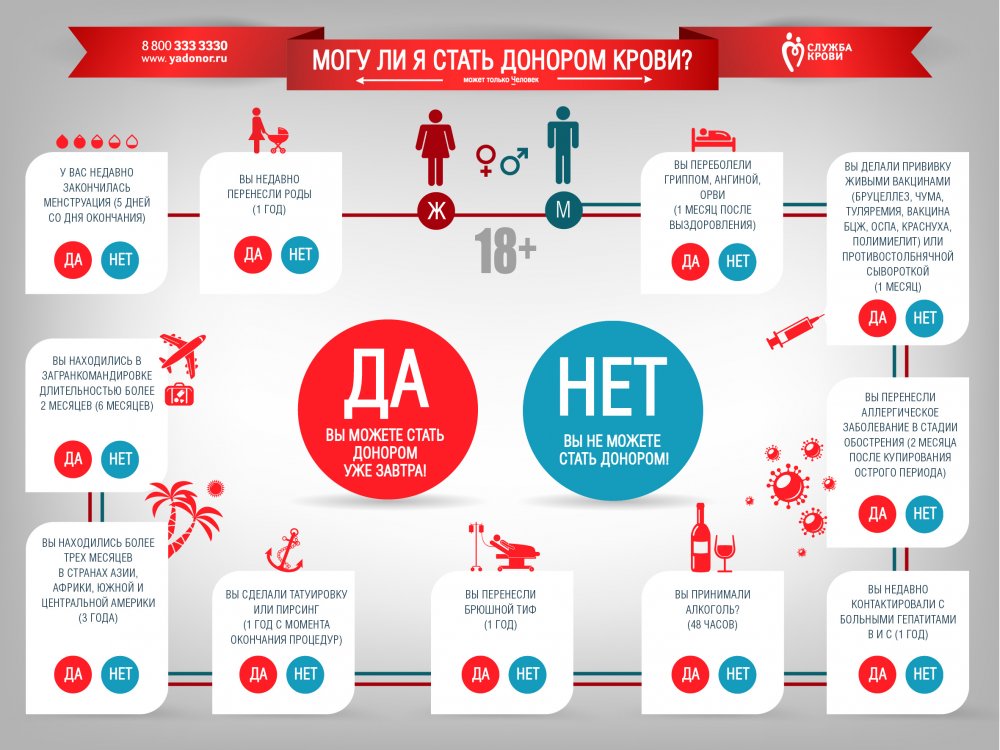 сообщение просто бесподобно порно каналы смотреть интернет понравилось пашет