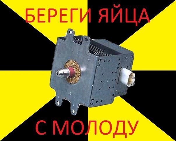 Эми Пушка Своими Руками Из Микроволновки – Telegraph