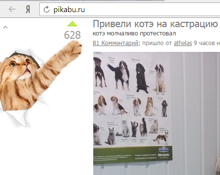 Скачать порно бесплатно на телефон mp 4 - porno.com