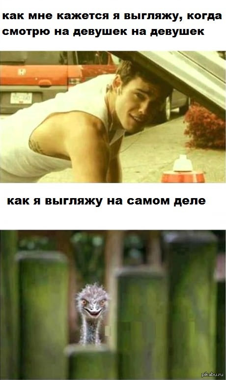 porno-s-glavbuhshey-zolotaya-kollektsiya-kollektsiya-erotiki