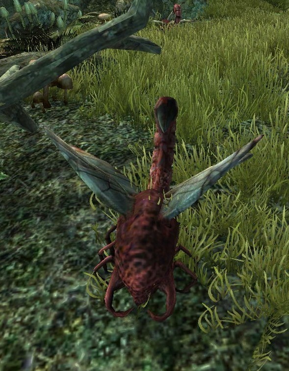 Тема пустыни Варрант из Готики 3 (Kai Rosenkranz - Welcome to Varant ...