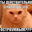 желтым по белому что значит выражение. Смотреть фото желтым по белому что значит выражение. Смотреть картинку желтым по белому что значит выражение. Картинка про желтым по белому что значит выражение. Фото желтым по белому что значит выражение