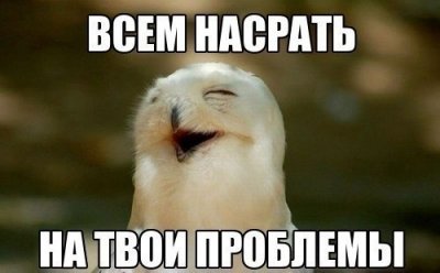 такое утро мне нравится больше. Смотреть фото такое утро мне нравится больше. Смотреть картинку такое утро мне нравится больше. Картинка про такое утро мне нравится больше. Фото такое утро мне нравится больше