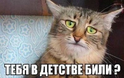 Пицца черепашки ниндзя рецепт. 13999947339998. Пицца черепашки ниндзя рецепт фото. Пицца черепашки ниндзя рецепт-13999947339998. картинка Пицца черепашки ниндзя рецепт. картинка 13999947339998. Сразу видно ебучих нубов, в фильме (старом) есть момент, когда они покупают пиццу, которую курьер им просовывает в водосток. Они ему еще на чай не дали, потому как опоздал на 30 секунд. И Кено из второй части был именно доставщиком пиццы.