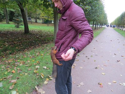 ����������� � �����������