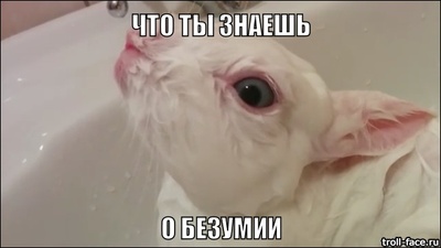 Èëëþñòðàöèÿ ê êîììåíòàðèþ